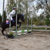 bABIE lATO 2018